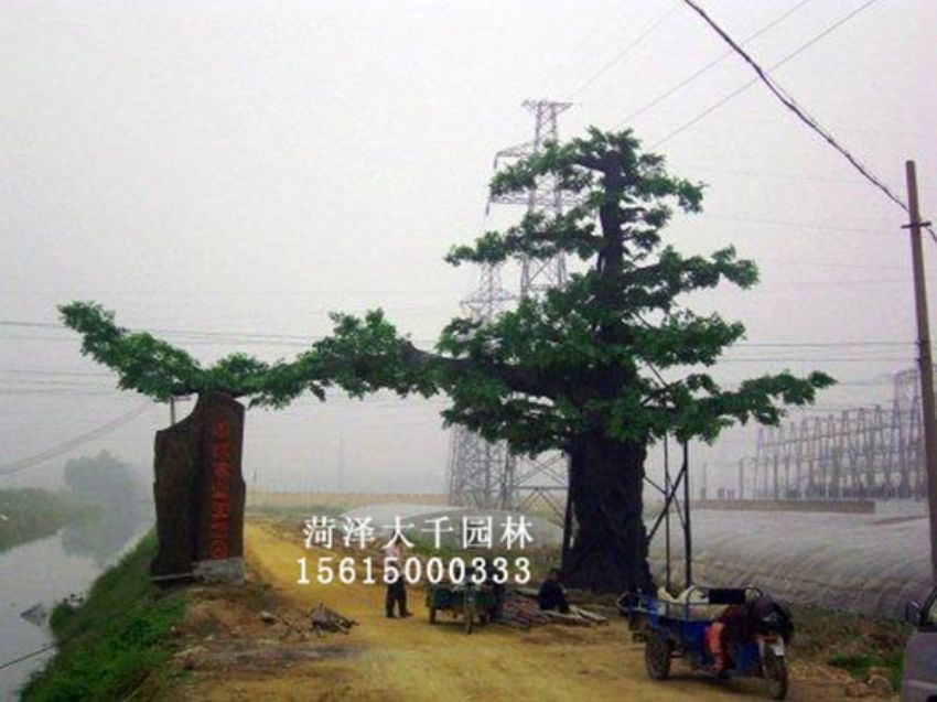 點(diǎn)擊查看詳細(xì)信息<br>標(biāo)題：假樹 閱讀次數(shù)：1342