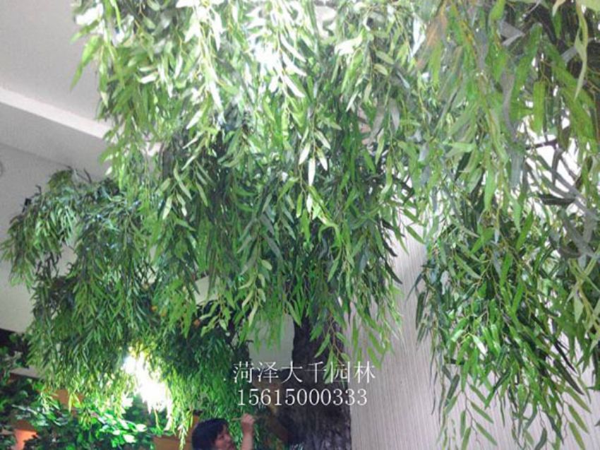 點(diǎn)擊查看詳細(xì)信息<br>標(biāo)題：假樹 閱讀次數(shù)：1358