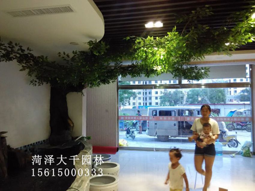 點(diǎn)擊查看詳細(xì)信息<br>標(biāo)題：假樹 閱讀次數(shù)：1388