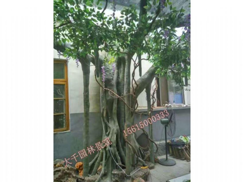 點(diǎn)擊查看詳細(xì)信息<br>標(biāo)題：假樹(shù) 閱讀次數(shù)：1474